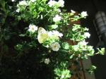 img_7641.jpg - 